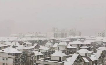 下雪了作文最新6篇