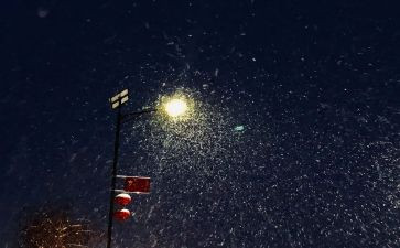下雪的作文8篇