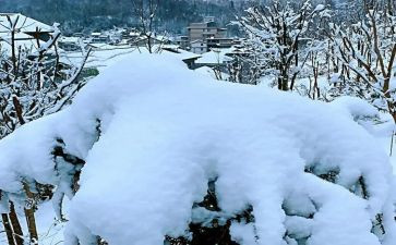 下雪天的作文7篇