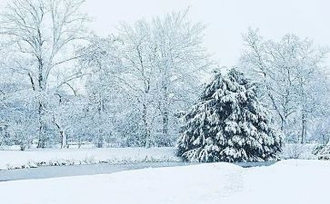 下雪了作文400字8篇