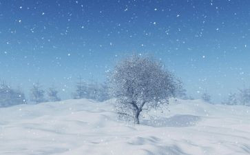 下雪了作文400字5篇