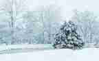 下雪了作文400字8篇