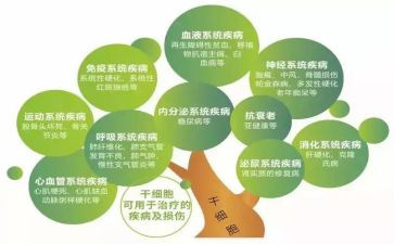 2023小学语文工作计划最新5篇