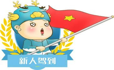 公司新人心得总结6篇