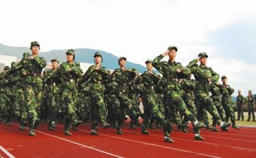新生班班主任工作计划5篇