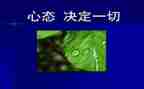 2023年保险公司工作总结模板6篇