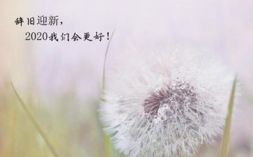 新一年财务的工作计划6篇