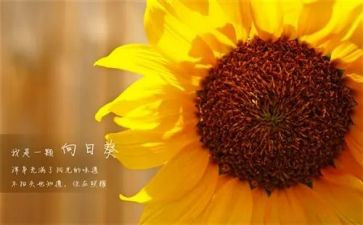 新一年财务的工作计划通用8篇