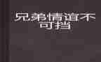 《兄弟》读后感600字7篇