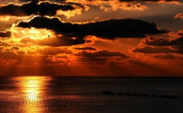 夕阳时的云作文参考6篇