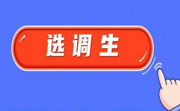 选调生到村工作总结7篇
