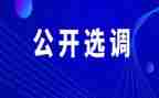 2023年质检员工作总结优秀5篇