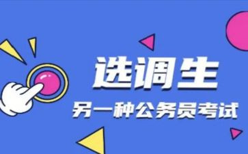 2023年终个人工作总结模板优秀5篇
