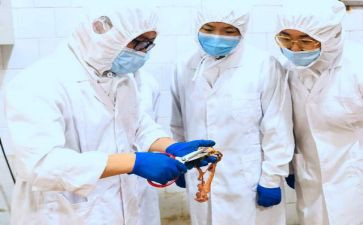 2022学年英语教学工作总结7篇