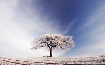 除雪志愿活动心得体会最新8篇