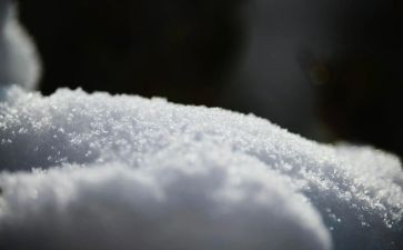雪的片段作文优质8篇