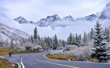 除雪实践活动总结优质8篇