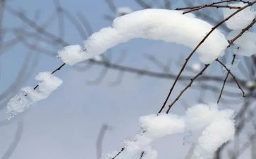 除雪实践活动总结推荐6篇