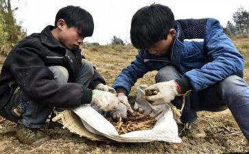 2023年工程活动总结5篇