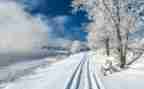 小学雪天安全教育教案6篇
