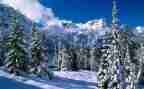 物业除雪总结报告模板7篇