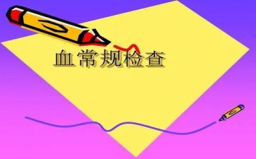 8年级数学教学计划7篇