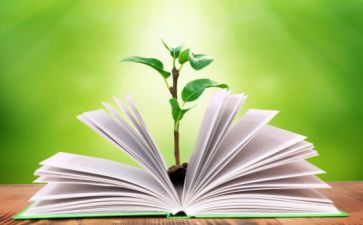 教师教学工作总结的范文优秀6篇