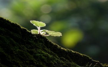 《信》作文400字8篇