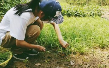 2022年中考作文满分范文8篇