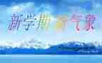幼儿园大班本学期教学总结模板7篇