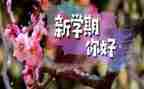 初中生学期自我评价7篇