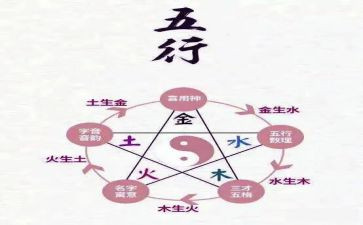 上学期保育员工作计划6篇