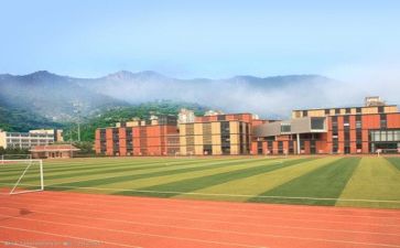 学校特色体育活动总结7篇
