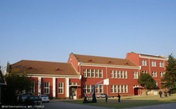 学校的总结报告优秀8篇
