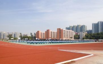 学校教师调研报告5篇