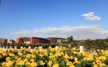 对学校的总结报告通用7篇