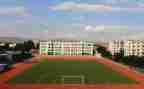 学校抓安全工作总结精选7篇