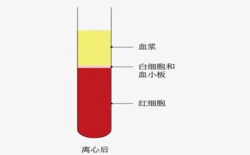 教科室周工作计划最新8篇