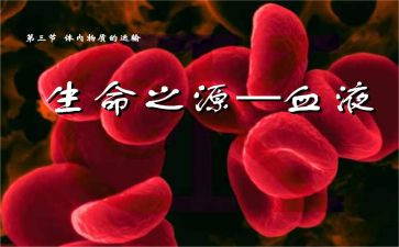 2023年大班第一学期工作总结8篇