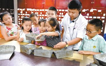 学艺术的心得体会模板8篇