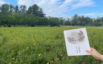 一年级个人工作总结2022精选5篇