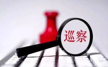 巡察个人述职述廉报告8篇