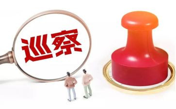 巡察干部个人总结5篇