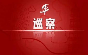 2024年巡察组组长述职报告6篇