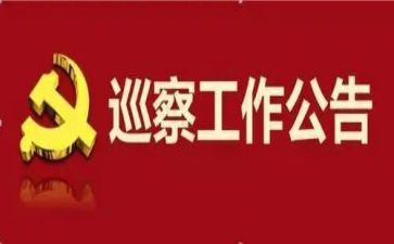 巡察工作总结5篇