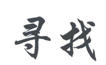 寻访活动心得8篇