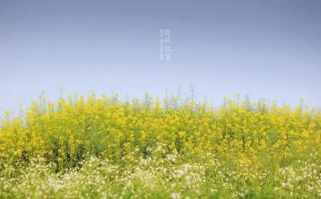 叙事的故事作文模板6篇