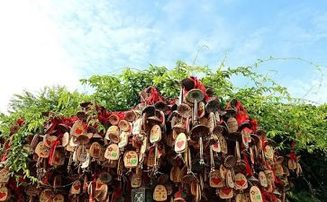 一封信的读后感7篇