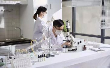 研发师工作计划优秀8篇
