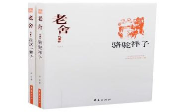 样子,作文推荐5篇